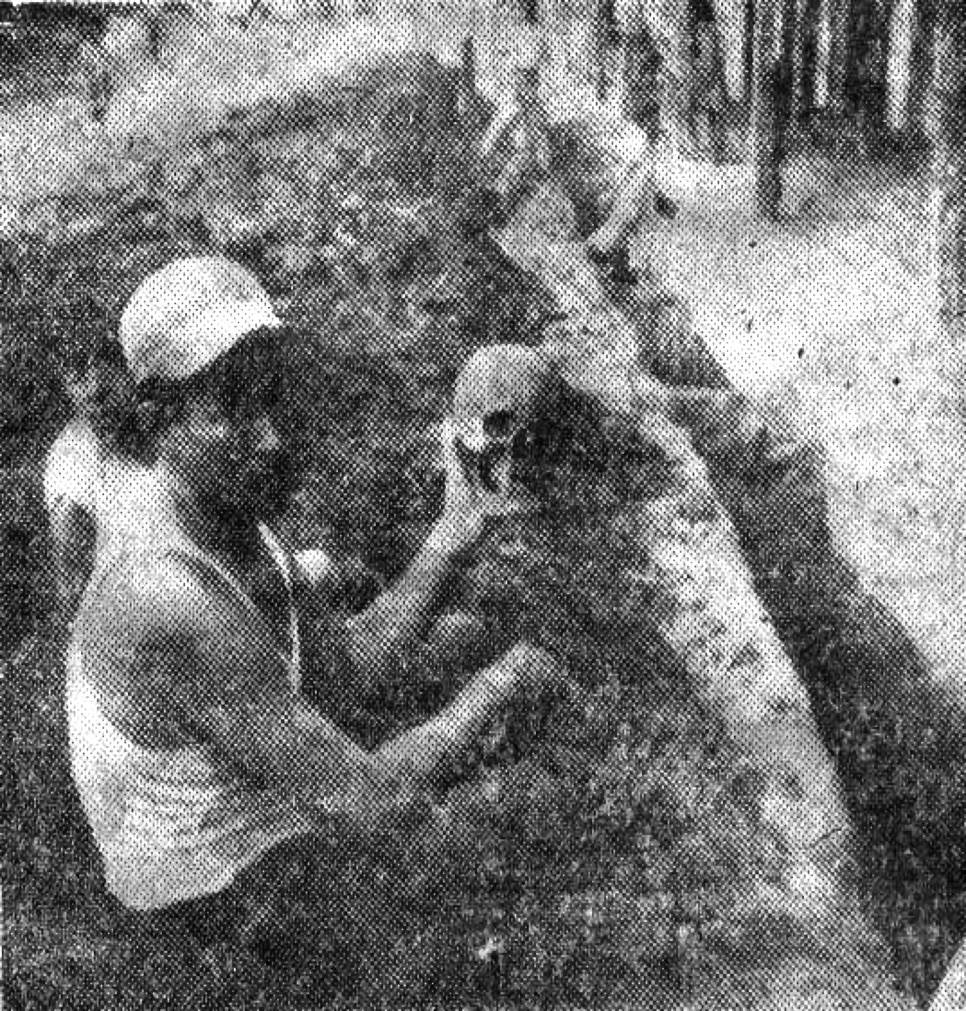 En 1954 mientras realizaban los trabajos de la canalización, fue encontrada una urna funeraria que contenía los restos de un cráneo antiguo.